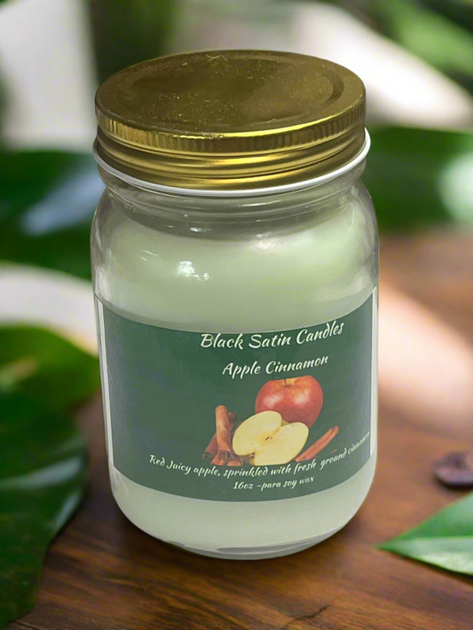Apple Cinnamon Scented Candle 16oz Single Cotton Wick Glass Jar