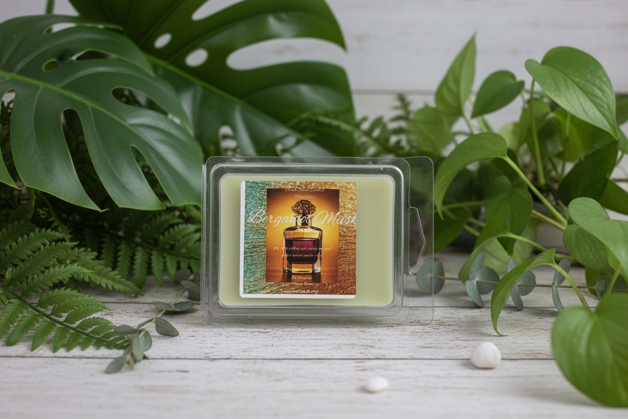 Bergamot Musk Scented Wax Melt 2.5oz  Six Cube Warmer Tart